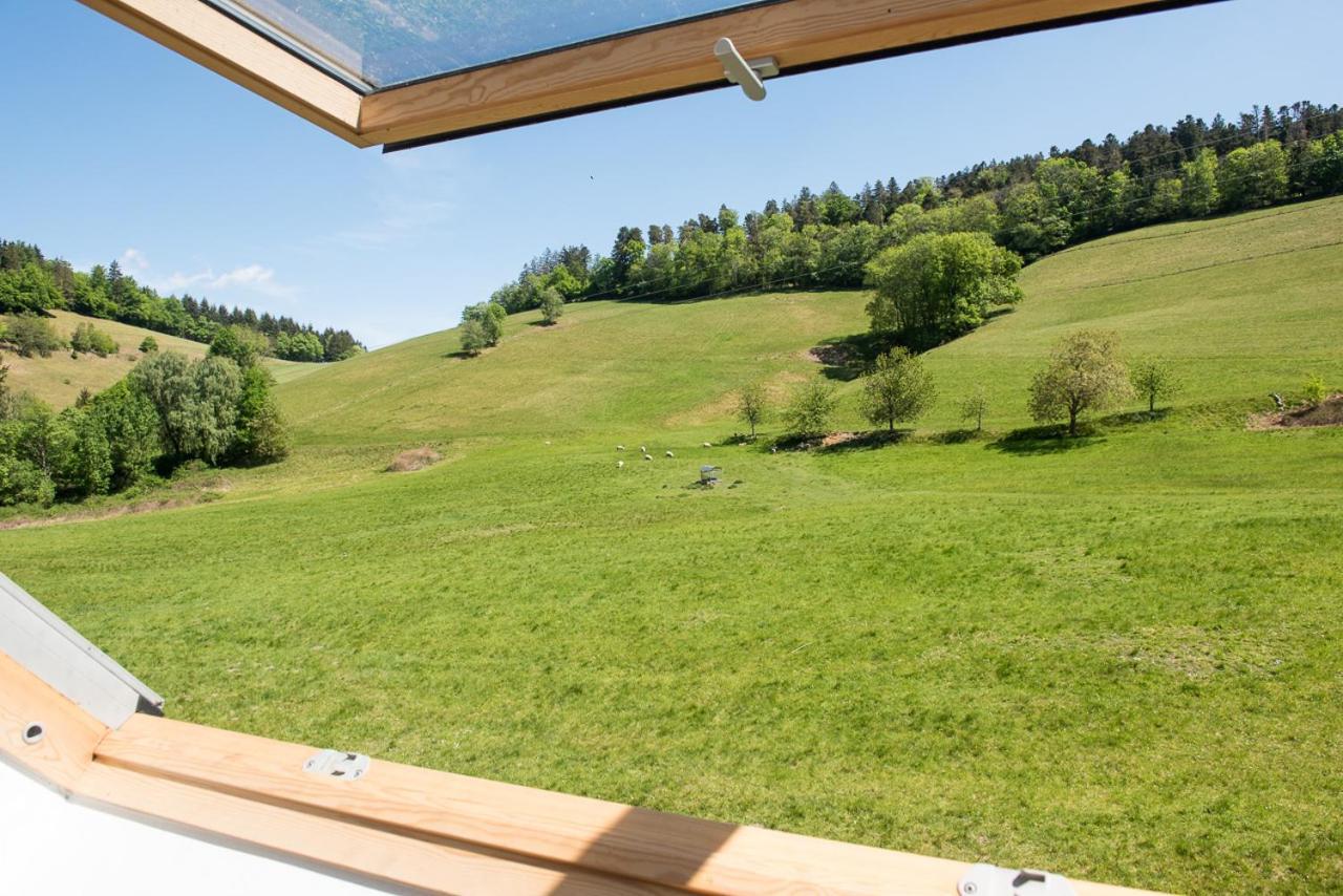 Ferienhaus Kappel Mit Pool Freiburg im Breisgau Ngoại thất bức ảnh